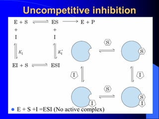 Uncompetitive inhibition
 E + S +I =ESI (No active complex)
 