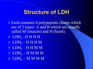 Structure of LDH
 Each contains 4 polypeptide chains which
are of 2 types: A and B which are usually
called M (muscle) and H (heart).
 LDH1 –H H H H
 LDH2 – H H H M
 LDH3 – H H M M
 LDH4 – H M M M
 LDH5 – M M M M
 