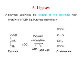  Enzymes catalyzing the joining of two molecules with
hydrolysis of ATP. Eg. Pyruvate carboxylase
6. Ligases
 