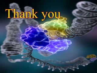 Enzymes   definitions, types &amp; classification