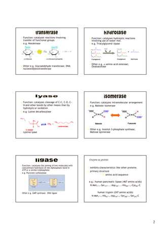 Transferase Rxn Enzymes dr arifullah 2 | PDF