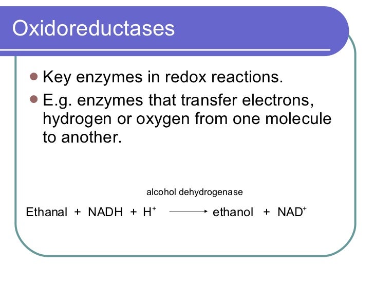 Enzymes In Respiration