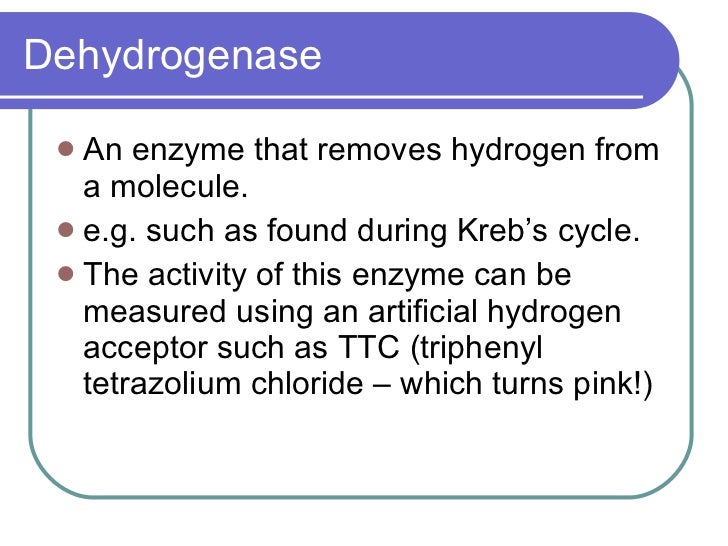 Enzymes In Respiration