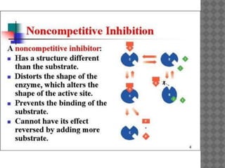 Enzymes lect.-ppt | PPTX