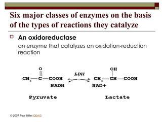 Six major classes of enzymes on the basis
of the types of reactions they catalyze
 An oxidoreductase
an enzyme that catalyzes an oxidation-reduction
reaction
© 2007 Paul Billiet ODWS
 