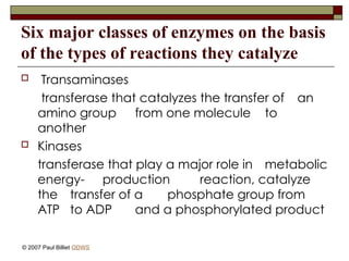 Six major classes of enzymes on the basis
of the types of reactions they catalyze
 Transaminases
transferase that catalyzes the transfer of an
amino group from one molecule to
another
 Kinases
transferase that play a major role in metabolic
energy- production reaction, catalyze
the transfer of a phosphate group from
ATP to ADP and a phosphorylated product
© 2007 Paul Billiet ODWS
 