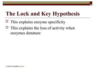 The Lock and Key Hypothesis
 This explains enzyme specificity
 This explains the loss of activity when
enzymes denature
© 2007 Paul Billiet ODWS
 