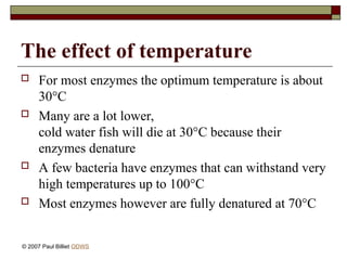 The effect of temperature
 For most enzymes the optimum temperature is about
30°C
 Many are a lot lower,
cold water fish will die at 30°C because their
enzymes denature
 A few bacteria have enzymes that can withstand very
high temperatures up to 100°C
 Most enzymes however are fully denatured at 70°C
© 2007 Paul Billiet ODWS
 