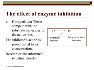 The effect of enzyme inhibition
1. Competitive: These
compete with the
substrate molecules for
the active site.
The inhibitor’s action is
proportional to its
concentration.
Resembles the substrate’s
structure closely.
Enzyme inhibitor
complex
Reversible
reaction
E + I EI
© 2007 Paul Billiet ODWS
 