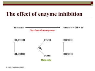 The effect of enzyme inhibition
Succinate Fumarate + 2H+
+ 2e-
Succinate dehydrogenase
CH2COOH
CH2COOH CHCOOH
CHCOOH
COOH
COOH
CH2
Malonate
© 2007 Paul Billiet ODWS
 