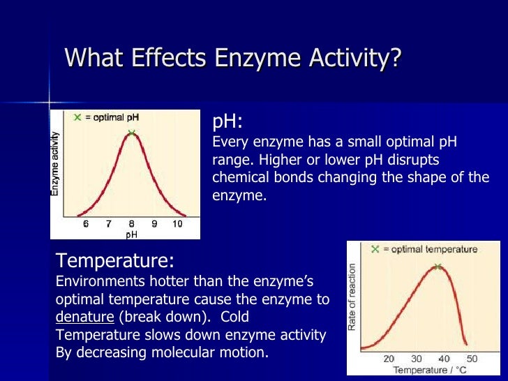 Enzymes