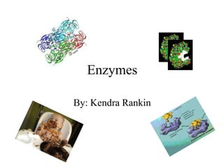Enzymes

By: Kendra Rankin
 