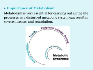  Importance of Metabolism:
Metabolism is very essential for carrying out all the life
processes as a disturbed metabolic system can result in
severe diseases and retardation.
 
