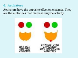 6. Activators
Activators have the opposite effect on enzymes. They
are the molecules that increase enzyme activity.
 