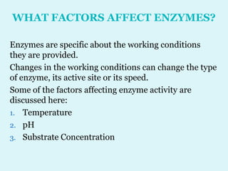 WHAT FACTORS AFFECT ENZYMES?
Enzymes are specific about the working conditions
they are provided.
Changes in the working conditions can change the type
of enzyme, its active site or its speed.
Some of the factors affecting enzyme activity are
discussed here:
1. Temperature
2. pH
3. Substrate Concentration
 