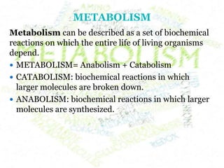 METABOLISM
Metabolism can be described as a set of biochemical
reactions on which the entire life of living organisms
depend.
 METABOLISM= Anabolism + Catabolism
 CATABOLISM: biochemical reactions in which
larger molecules are broken down.
 ANABOLISM: biochemical reactions in which larger
molecules are synthesized.
 