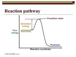 enzymes 1.ppt