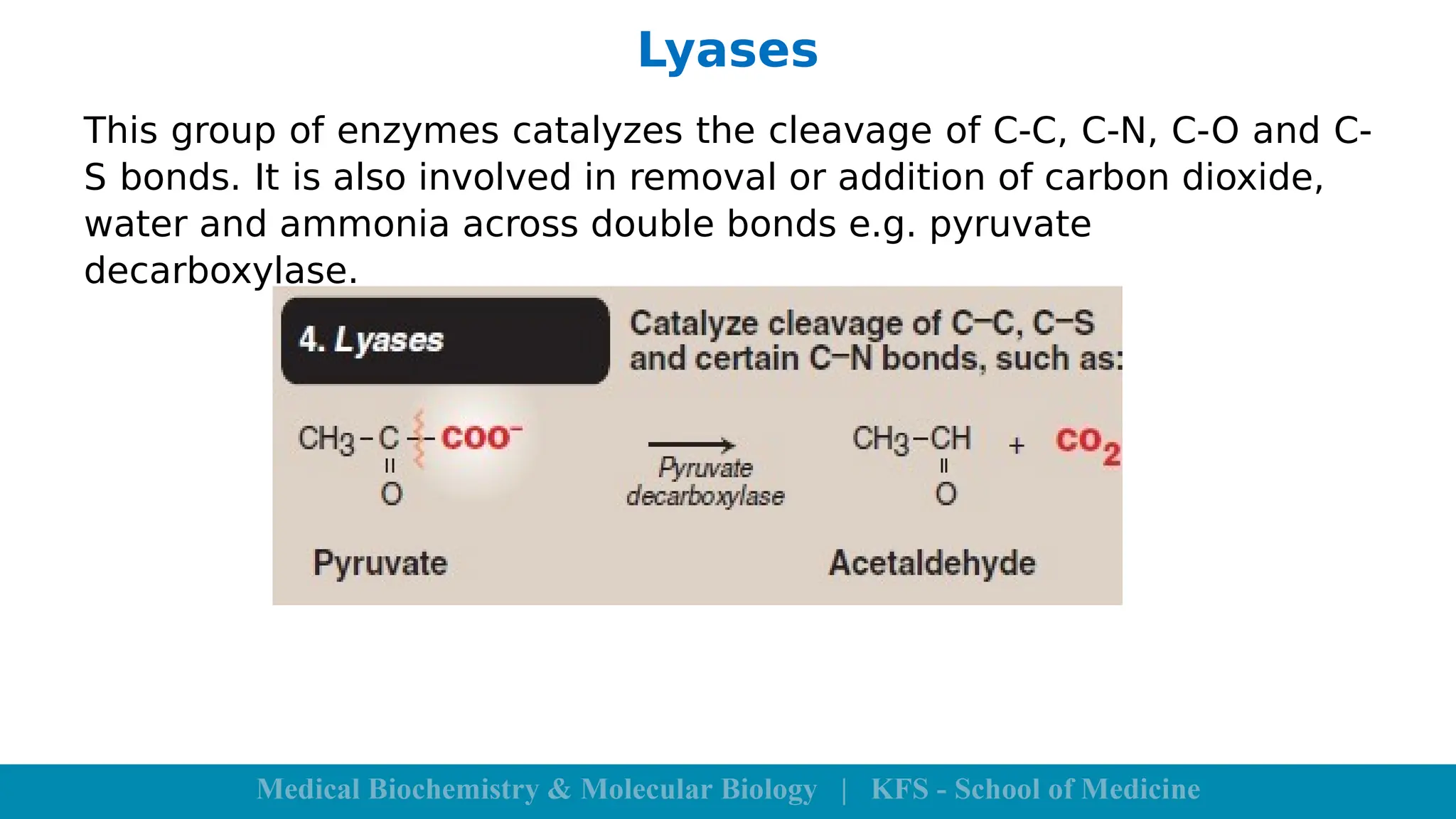 Lyases
This group of enzymes catalyzes the cleavage of C-C, C-N, C-O and C-
S bonds. It is also involved in removal or addition of carbon dioxide,
water and ammonia across double bonds e.g. pyruvate
decarboxylase.
 