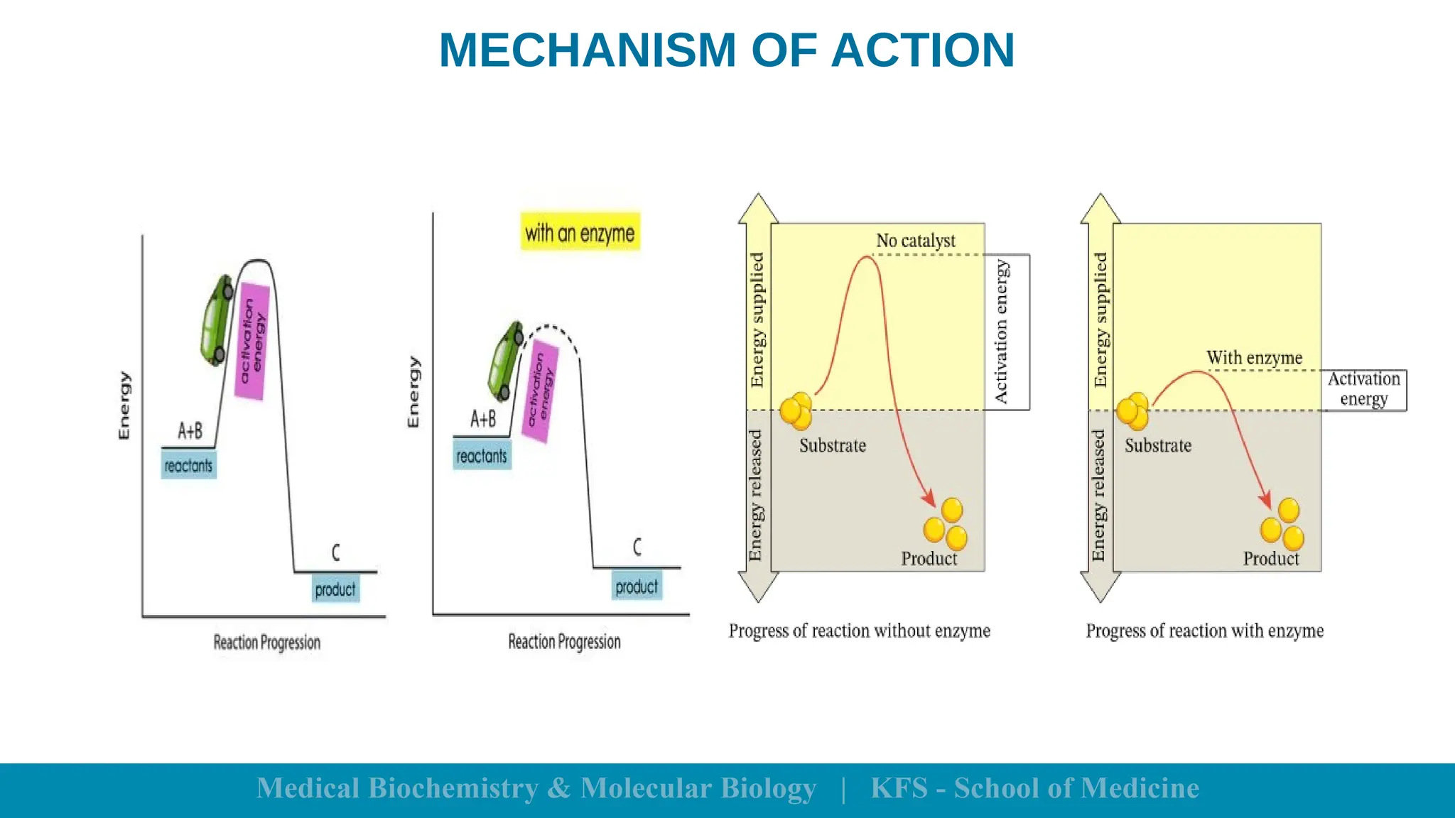 MECHANISM OF ACTION
 