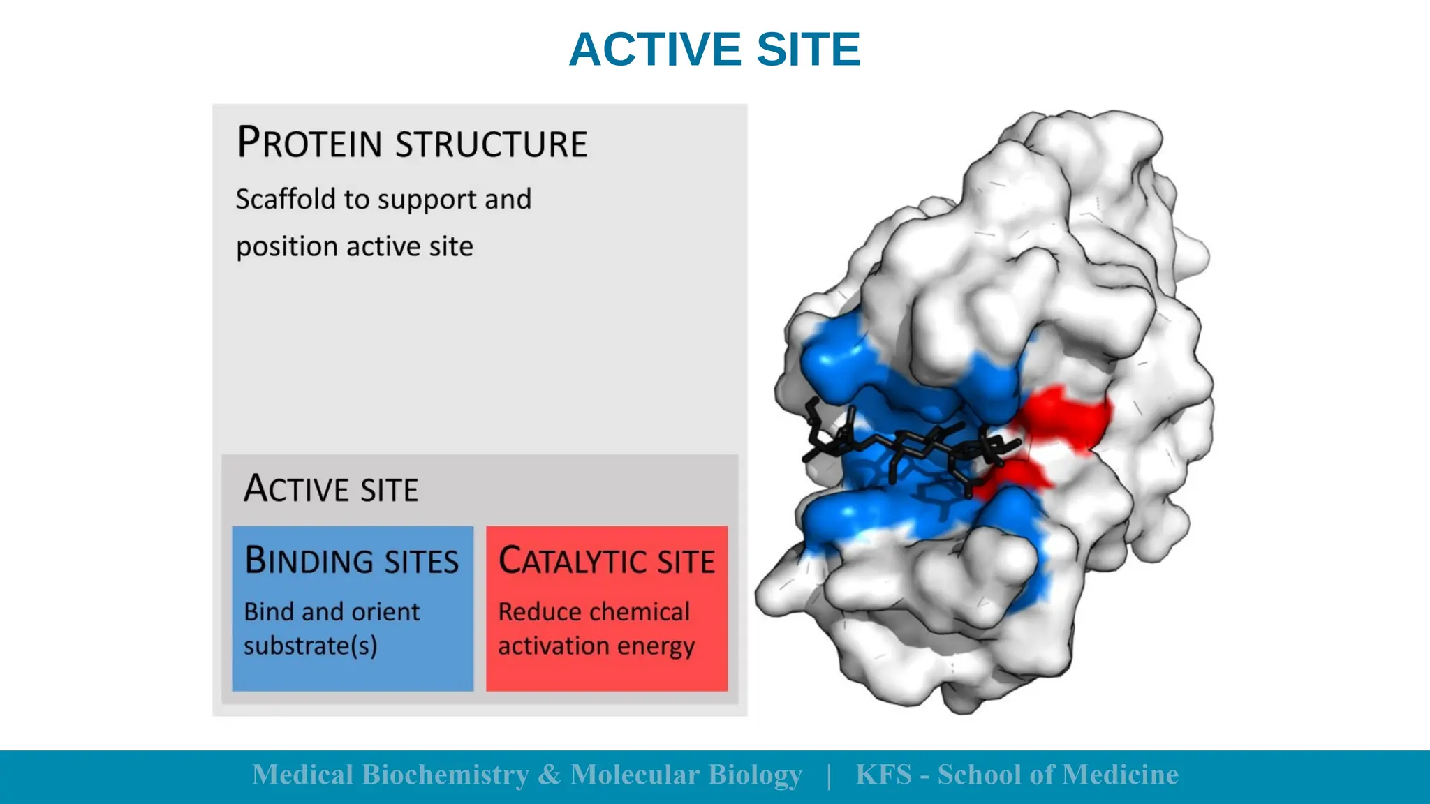 ACTIVE SITE
 