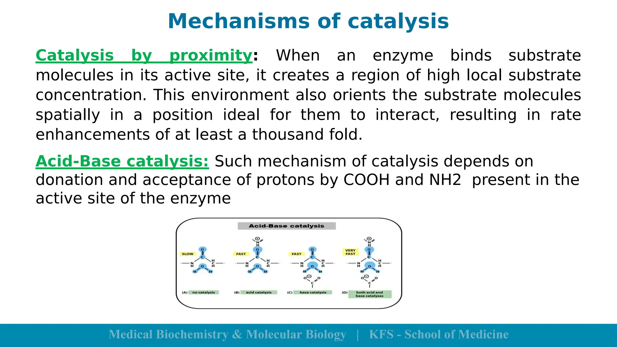 Mechanisms of catalysis
Catalysis by proximity: When an enzyme binds substrate
molecules in its active site, it creates a region of high local substrate
concentration. This environment also orients the substrate molecules
spatially in a position ideal for them to interact, resulting in rate
enhancements of at least a thousand fold.
Acid-Base catalysis: Such mechanism of catalysis depends on
donation and acceptance of protons by COOH and NH2 present in the
active site of the enzyme
 