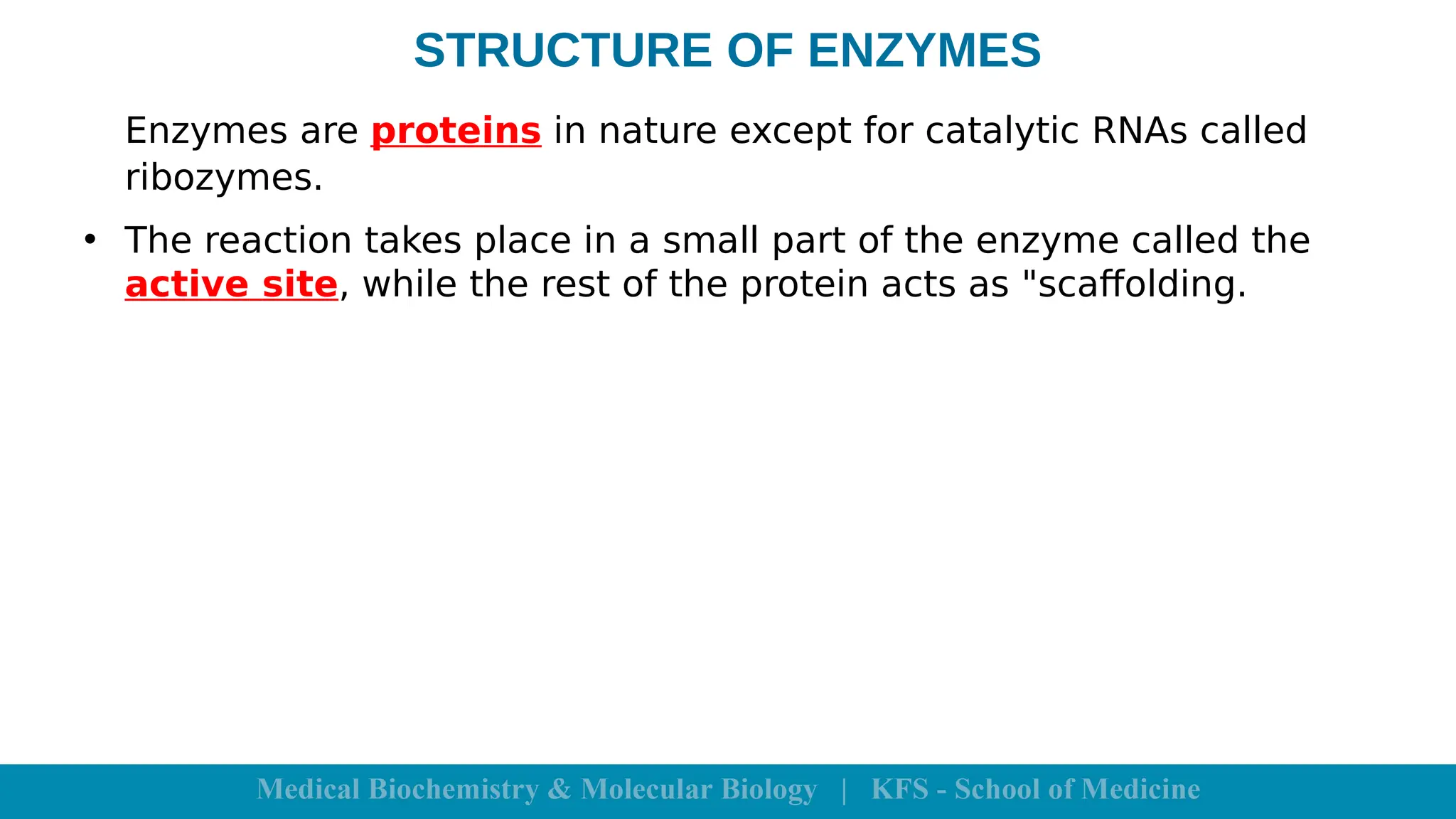 STRUCTURE OF ENZYMES
Enzymes are proteins in nature except for catalytic RNAs called
ribozymes.
• The reaction takes place in a small part of the enzyme called the
active site, while the rest of the protein acts as "scaffolding.
 