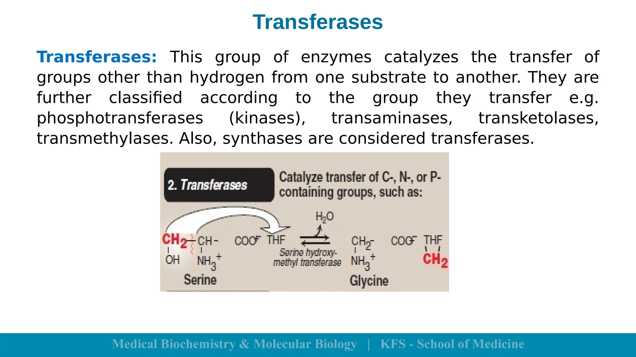 Transferases
Transferases: This group of enzymes catalyzes the transfer of
groups other than hydrogen from one substrate to another. They are
further classified according to the group they transfer e.g.
phosphotransferases (kinases), transaminases, transketolases,
transmethylases. Also, synthases are considered transferases.
 