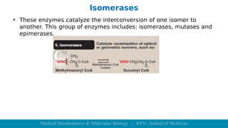 Enzymes (1).please be aware of this fact | PDF