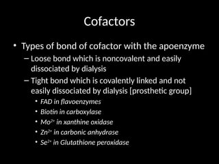 Comprehensive Overview of Enzymes: Structure, Function, and ...