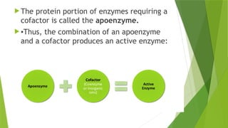 enzymes 11.pptx How enzymes can work best presentation and best slides ...