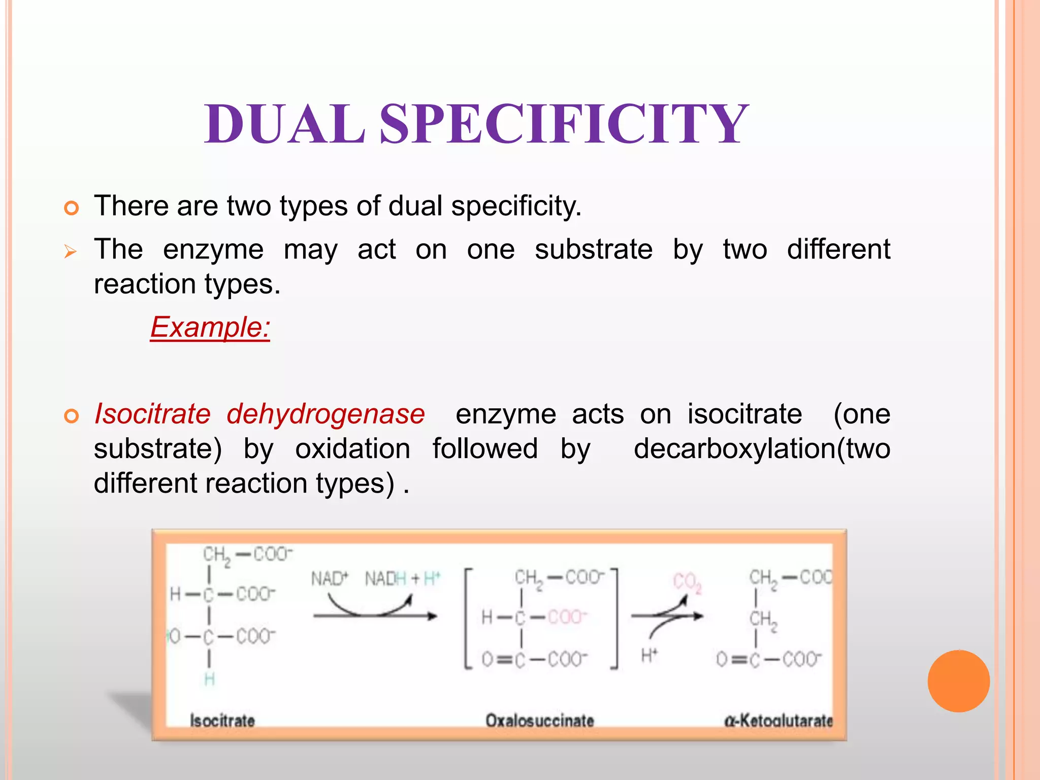 Reaction Specificity Example Enzymes | PPTX