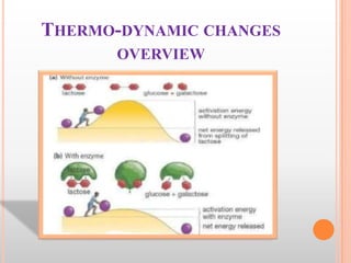 THERMO-DYNAMIC CHANGES
OVERVIEW

 