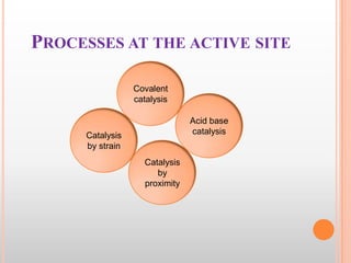 PROCESSES AT THE ACTIVE SITE
Covalent
catalysis
Acid base
catalysis

Catalysis
by strain
Catalysis
by
proximity

 