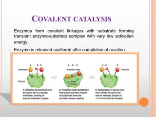 COVALENT CATALYSIS
o

Enzymes form covalent linkages with substrate forming
transient enzyme-substrate complex with very low activation
energy.

o

Enzyme is released unaltered after completion of reaction.

 