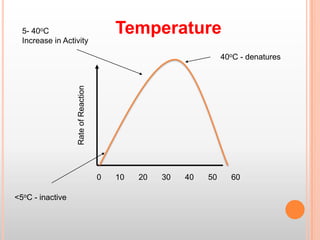 Temperature

5- 40oC
Increase in Activity

Rate of Reaction

40oC - denatures

0
<5oC - inactive

10

20

30

40

50

60

 