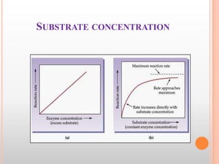 SUBSTRATE CONCENTRATION

 