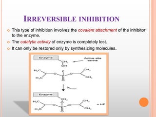 IRREVERSIBLE INHIBITION





This type of inhibition involves the covalent attachment of the inhibitor
to the enzyme.
The catalytic activity of enzyme is completely lost.
It can only be restored only by synthesizing molecules.

 