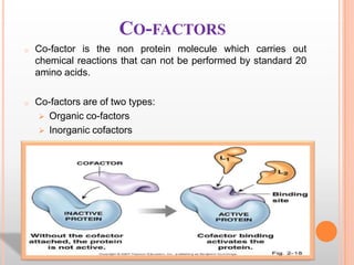 CO-FACTORS
o

Co-factor is the non protein molecule which carries out
chemical reactions that can not be performed by standard 20
amino acids.

o

Co-factors are of two types:
 Organic co-factors
 Inorganic cofactors

 
