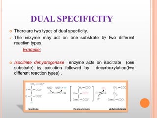 DUAL SPECIFICITY





There are two types of dual specificity.
The enzyme may act on one substrate by two different
reaction types.
Example:
Isocitrate dehydrogenase enzyme acts on isocitrate (one
substrate) by oxidation followed by decarboxylation(two
different reaction types) .

 