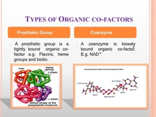 TYPES OF ORGANIC CO-FACTORS
Prosthetic Group
o

A prosthetic group is a
tightly bound organic cofactor e.g. Flavins, heme
groups and biotin.

Coenzyme
o

A coenzyme is loosely
+
bound organic co-factor.
E.g. NAD +

 