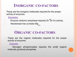 INORGANIC CO-FACTORS
These are the inorganic molecules required for the proper
activity of enzymes.
Examples:
++
Enzyme ca...