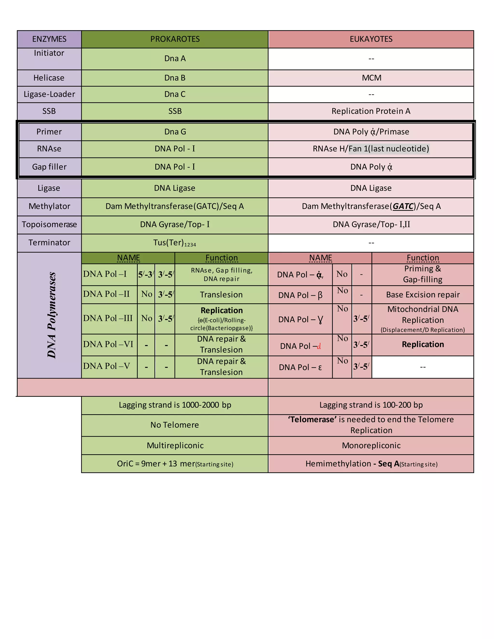 Enzymes In Transcription, Translation and Replication | DOCX