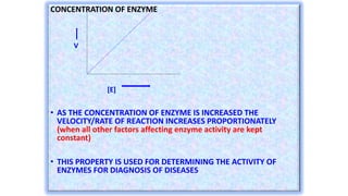 CONCENTRATION OF ENZYME
V
[E]
• AS THE CONCENTRATION OF ENZYME IS INCREASED THE
VELOCITY/RATE OF REACTION INCREASES PROPOR...