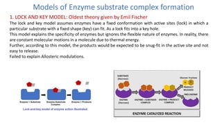ENZYMES classification,characterstics,silent features | PDF
