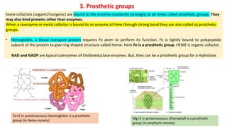 Prosthetic Group Examples ENZYMES classification,characterstics,silent features | PDF