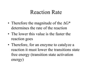 Reaction Rate
• Therefore the magnitude of the ∆G*
determines the rate of the reaction
• The lower this value is the faster the
reaction goes
• Therefore, for an enzyme to catalyze a
reaction it must lower the transitions state
free energy (transition state activation
energy)
 