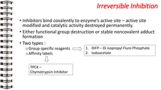 Enzymes by Dr. Aritri Bir | PPTX