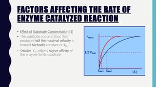 FACTORS AFFECTING THE RATE OF
ENZYME CATALYZED REACTION
• Effect of Substrate Concentration [S]
• The substrate concentration that
produces half the maximal velocity is
termed Michaelis constant or Km .
• Smaller Km reflects higher affinity of
the enzyme for its substrate
 