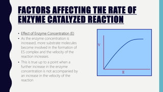 FACTORS AFFECTING THE RATE OF
ENZYME CATALYZED REACTION
• Effect of Enzyme Concentration (E)
• As the enzyme concentration is
increased, more substrate molecules
become involved in the formation of
ES complex and the velocity of the
reaction increases.
• This is true up to a point when a
further increase in the enzyme
concentration is not accompanied by
an increase in the velocity of the
reaction
 
