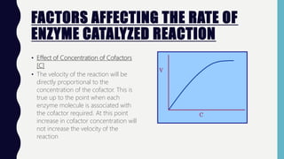 FACTORS AFFECTING THE RATE OF
ENZYME CATALYZED REACTION
• Effect of Concentration of Cofactors
[C]
• The velocity of the reaction will be
directly proportional to the
concentration of the cofactor. This is
true up to the point when each
enzyme molecule is associated with
the cofactor required. At this point
increase in cofactor concentration will
not increase the velocity of the
reaction
 
